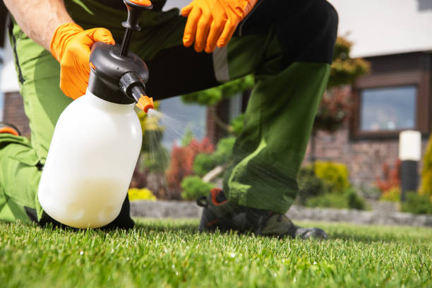 Best Pest Control for Restaurants  in Groveville, NJ