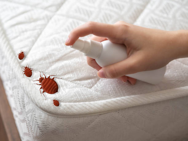 Best Pest Removal Services  in Groveville, NJ